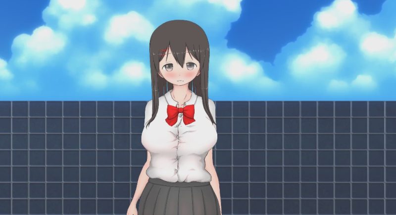 【SLG互动】我姐姐和我的暑假お姉ちゃんとボクの夏休み +DLC2.5G游戏中文版下载|无需安装解压即玩-游界无限