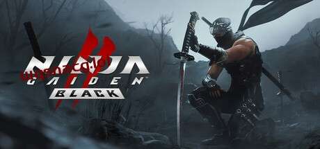 忍者龙剑传2：黑之章NINJA GAIDEN 2 Black v1.0.0官方中文免安装版游戏中文版下载|无需安装解压即玩-千万少女
