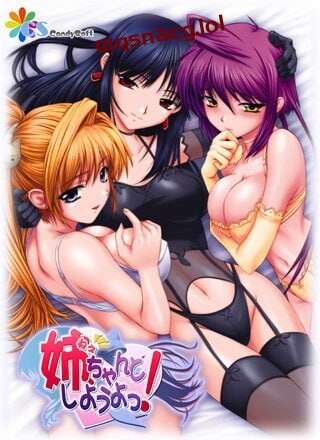[日式ADV/后宫/PC] 姐姐，拜托你认真一点！姉、ちゃんとしようよっ！AI汉化版+全CG存档 1G游戏中文版下载|无需安装解压即玩-千万少女