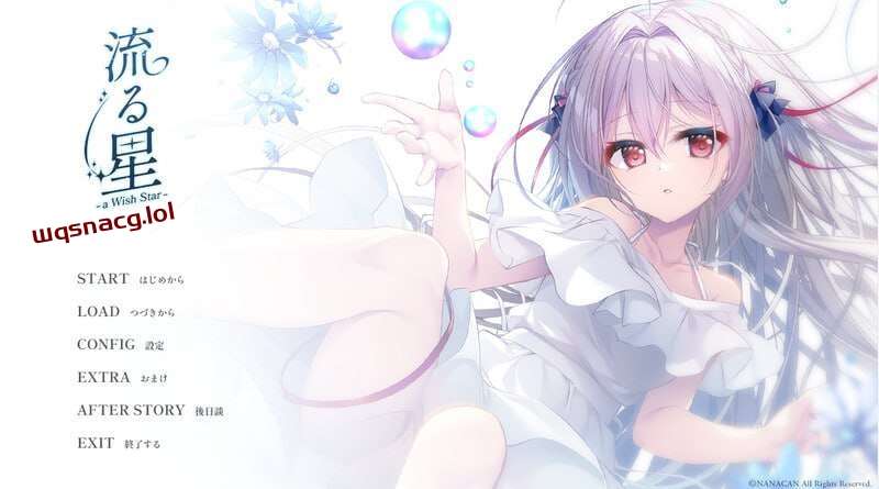 [拔作ADV] 流星-a wish star 流る星 v1.0 Steam官方中文+CG1.8G游戏中文版下载|无需安装解压即玩-千万少女
