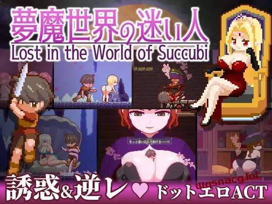 [动作ACT/像素动态] 迷失在梦境中 夢魔世界の迷い人 v1.0.1 PC+安卓 官方中文版 [1.3G]游戏中文版下载|无需安装解压即玩-千万少女
