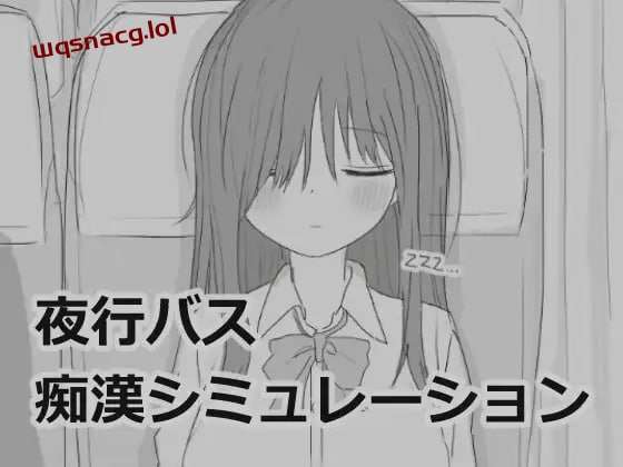[互动SLG/黑白] 夜行バス痴漢シミュレーション 机翻汉化版 [1G]游戏中文版下载|无需安装解压即玩-千万少女