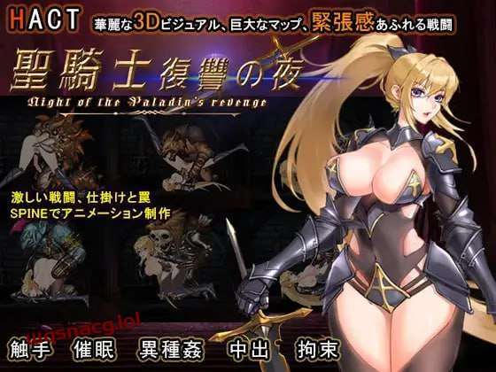 [动作ACT/全动态] 圣骑士复仇之夜 聖騎士復讐の夜 官方中文版 [5.6G]游戏中文版下载|无需安装解压即玩-千万少女