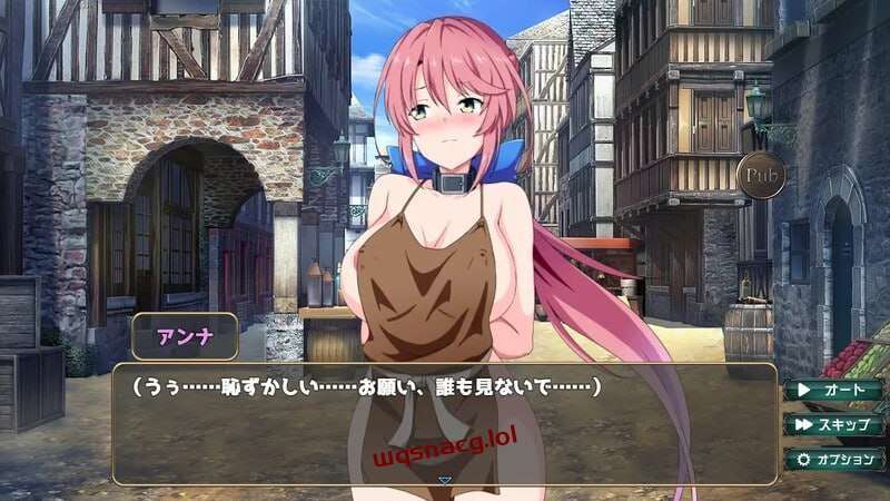 [互动SLG] 骑士安娜 -奴隶调教记录 騎士アンナ -奴隷調教記録 v1.0 AI汉化 [1G]游戏中文版下载|无需安装解压即玩-千万少女