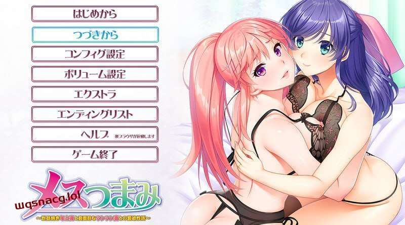 [拔作ADV] 亲密关系～照顾人的年长妻子和认真的冷淡妻子的爱欲生活～v1.0 AI汉化版+全CG存档 2.2G游戏中文版下载|无需安装解压即玩-千万少女