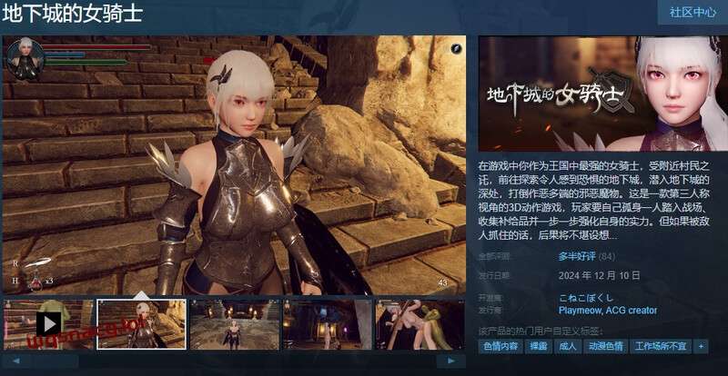 [ACT/汉化] 地下城的女骑士（地下城の女騎士）STEAM官中步兵3.4G游戏中文版下载|无需安装解压即玩-千万少女