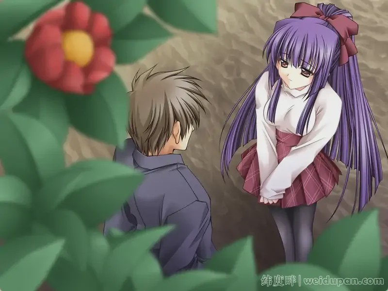 【神作ADV汉化】无颜之月 RENEWAL精翻完结+全CG存档+动画3.5G游戏中文版下载|无需安装解压即玩-千万少女