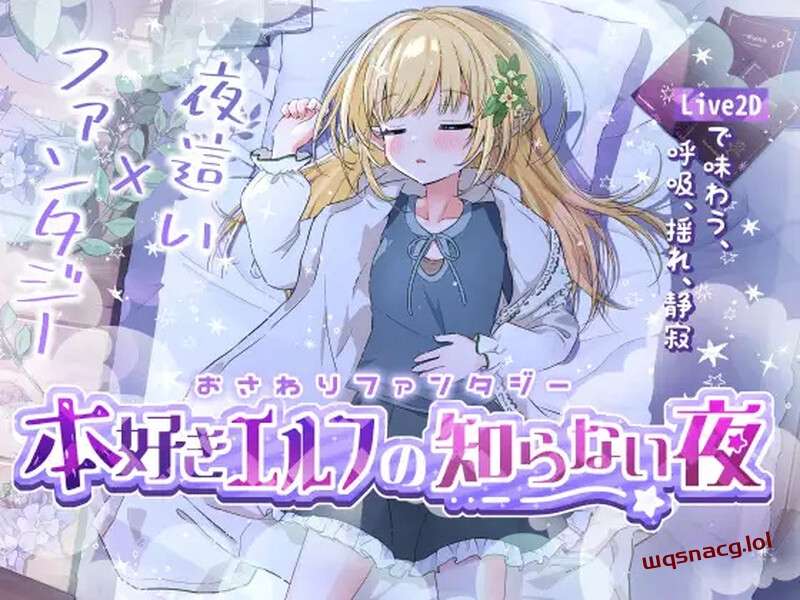 [互动SLG] 触摸幻想 喜欢书的精灵的未知之夜（おさわりファンタジー本好きエルフの知らない夜）V1.0 DL机翻游戏中文版下载|无需安装解压即玩-千万少女