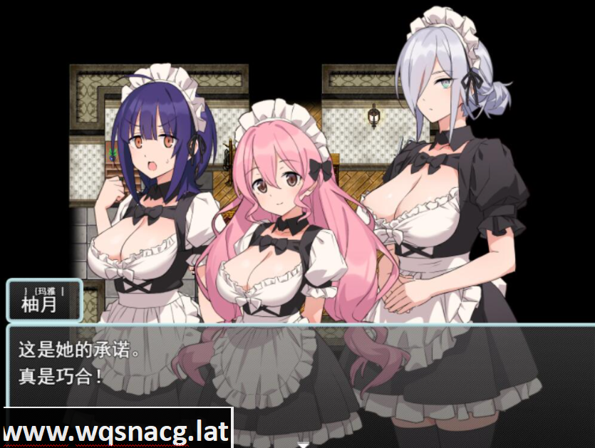 [RPG/汉化] 女仆和我的家 Hとメイドとマイホーム V1.01 PC+安卓汉化版游戏中文版下载|无需安装解压即玩-千万少女