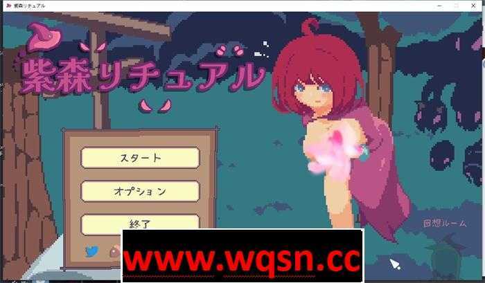 【像素ACT/全动态】紫森リチュアル 官方中文版 【新作/500M】游戏中文版下载|无需安装解压即玩-千万少女