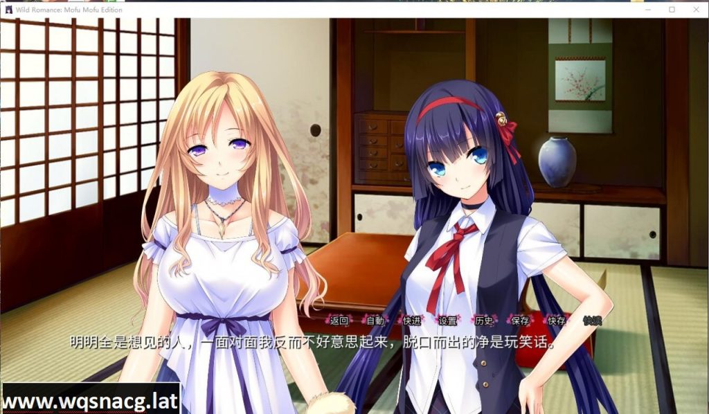 [ADV拔作/汉化/全CV] 我的兽耳后宫~野性的浪漫 汉化完结版+全CG [1.6G]游戏中文版下载|无需安装解压即玩-千万少女