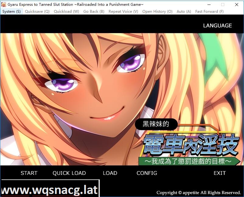 [拔作ADV/中文]黑辣妹的电车内银技～惩罚游戏目标的我 PC+安卓模拟官方中文版 [450M]游戏中文版下载|无需安装解压即玩-千万少女