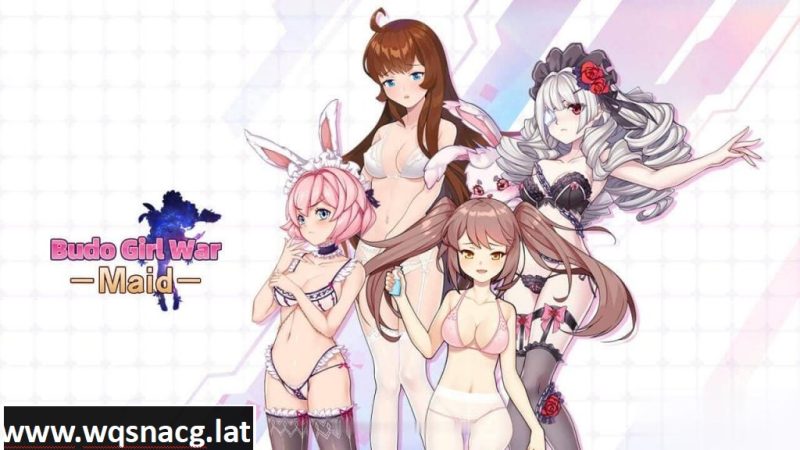 [经营SLG/中文/步兵] 武道战姬~欲望女仆战斗女仆 官方中文破解版 [500M]游戏中文版下载|无需安装解压即玩-游界无限