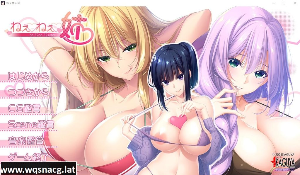 [ADV/汉化/动态] 姐姐们！ねぇねぇ姉！汉化版全CG包 [4.3G]游戏中文版下载|无需安装解压即玩-千万少女
