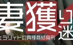 【爆款RPG/汉化】妻獲り迷宮：雪拉莉德的异种终身刑 汉化作弊版【PC+安卓/1.3G】游戏中文版下载|无需安装解压即玩-千万少女