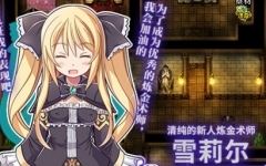 [RPG/汉化] 雪莉尔的大冒险～金色巨龙与遗迹之岛～ Ver1.02官方中文版 [多空/1.1G]游戏中文版下载|无需安装解压即玩-千万少女