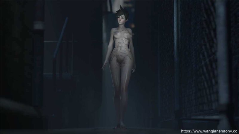 【3D同人/动画】 ZMSFM 作品【3G】游戏中文版下载|无需安装解压即玩-游界无限