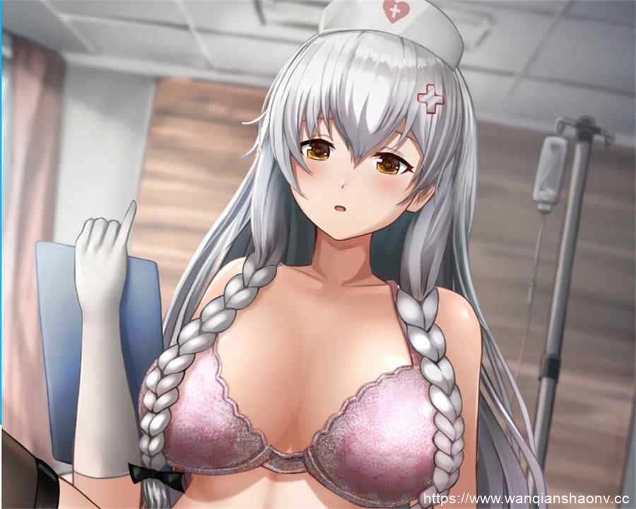 【2.5D/动画】とさか養鶏場【Tosaka Chicken Farm】【3.7G】游戏中文版下载|无需安装解压即玩-千万少女